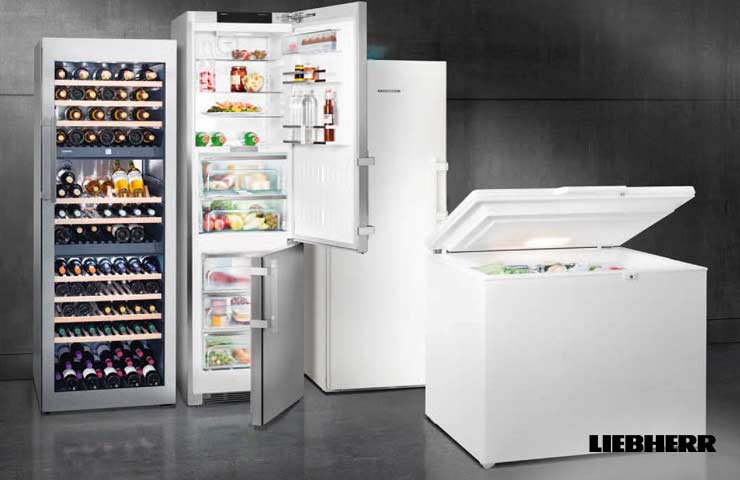 Liebherr Kühlschränke in Delmenhorst Bremen