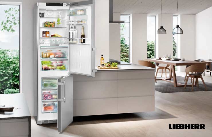 Liebherr Kühlschränke in Delmenhorst Bremen